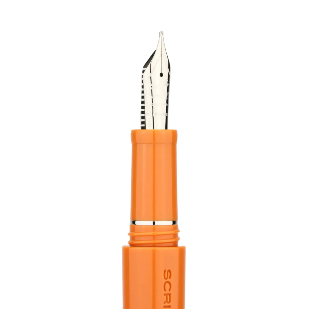 Piuma Levante Limited Edition Fountain Pen