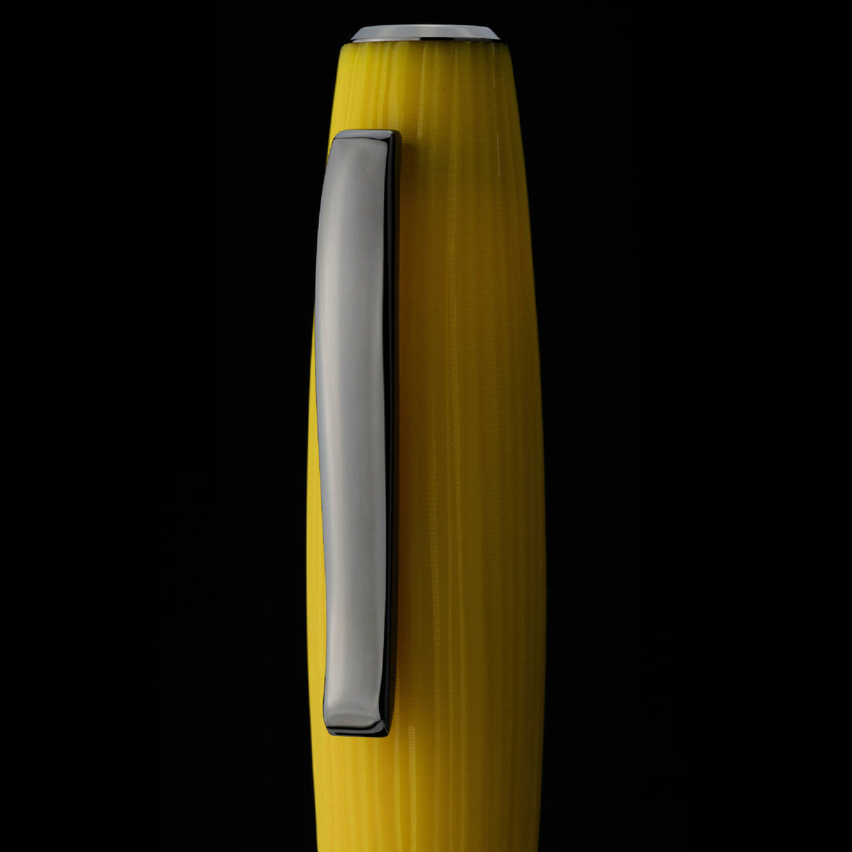 La Dotta Studiorum Limited Edition Fountain Pen