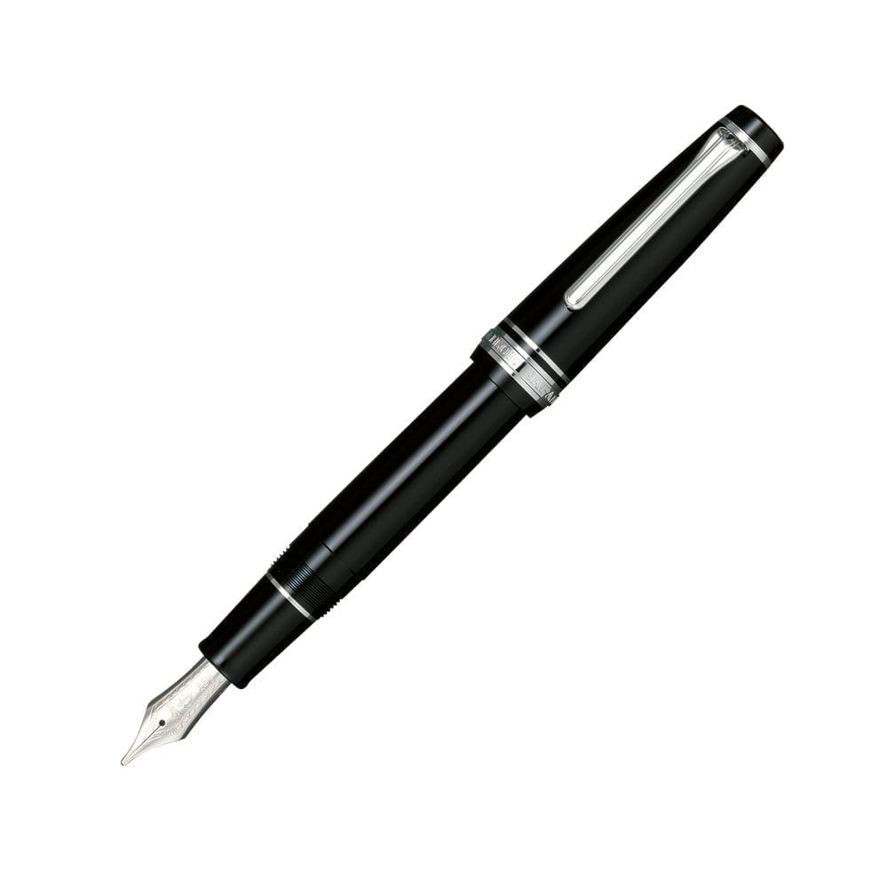 ProfessionalGear Silver Trim Fountain Pen