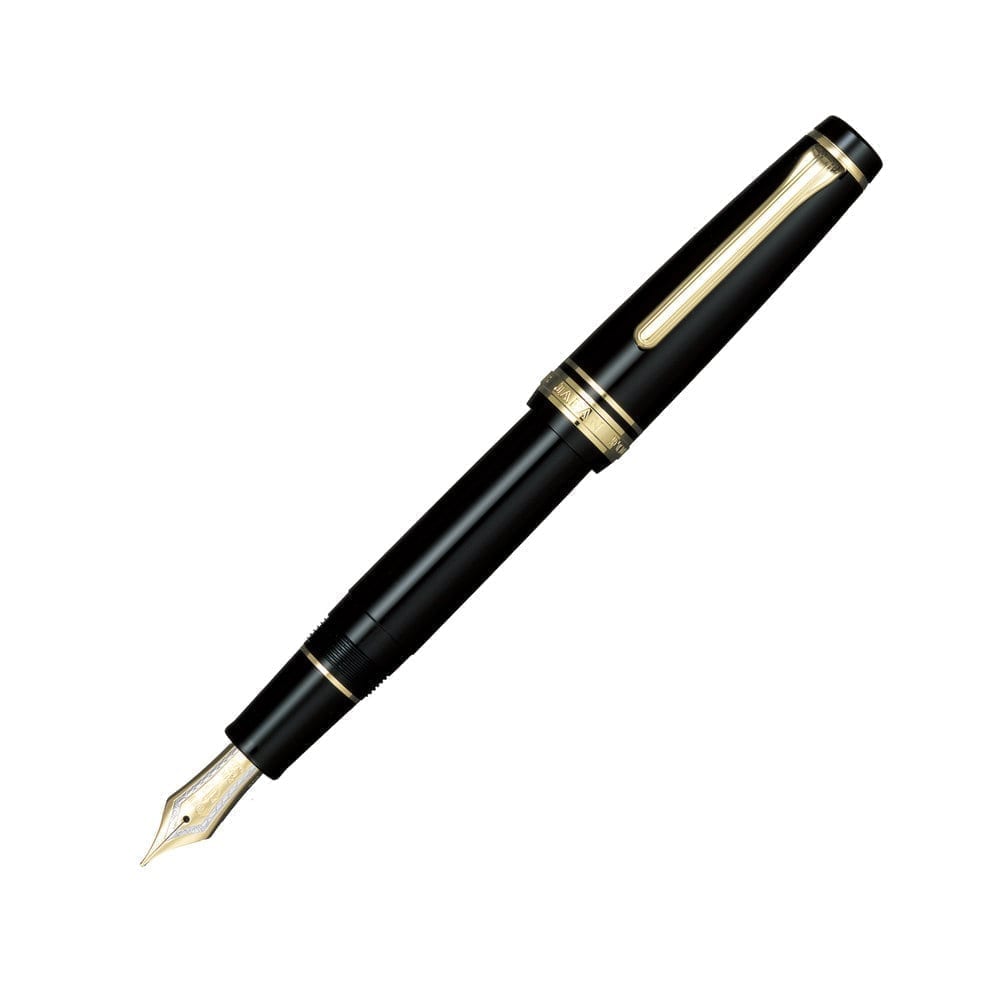 ProfessionalGear Gold Trim Fountain Pen