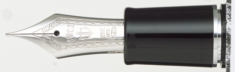 ProfessionalGear Silver Trim Fountain Pen