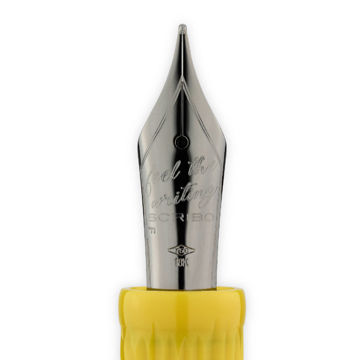 La Dotta Studiorum Limited Edition Fountain Pen