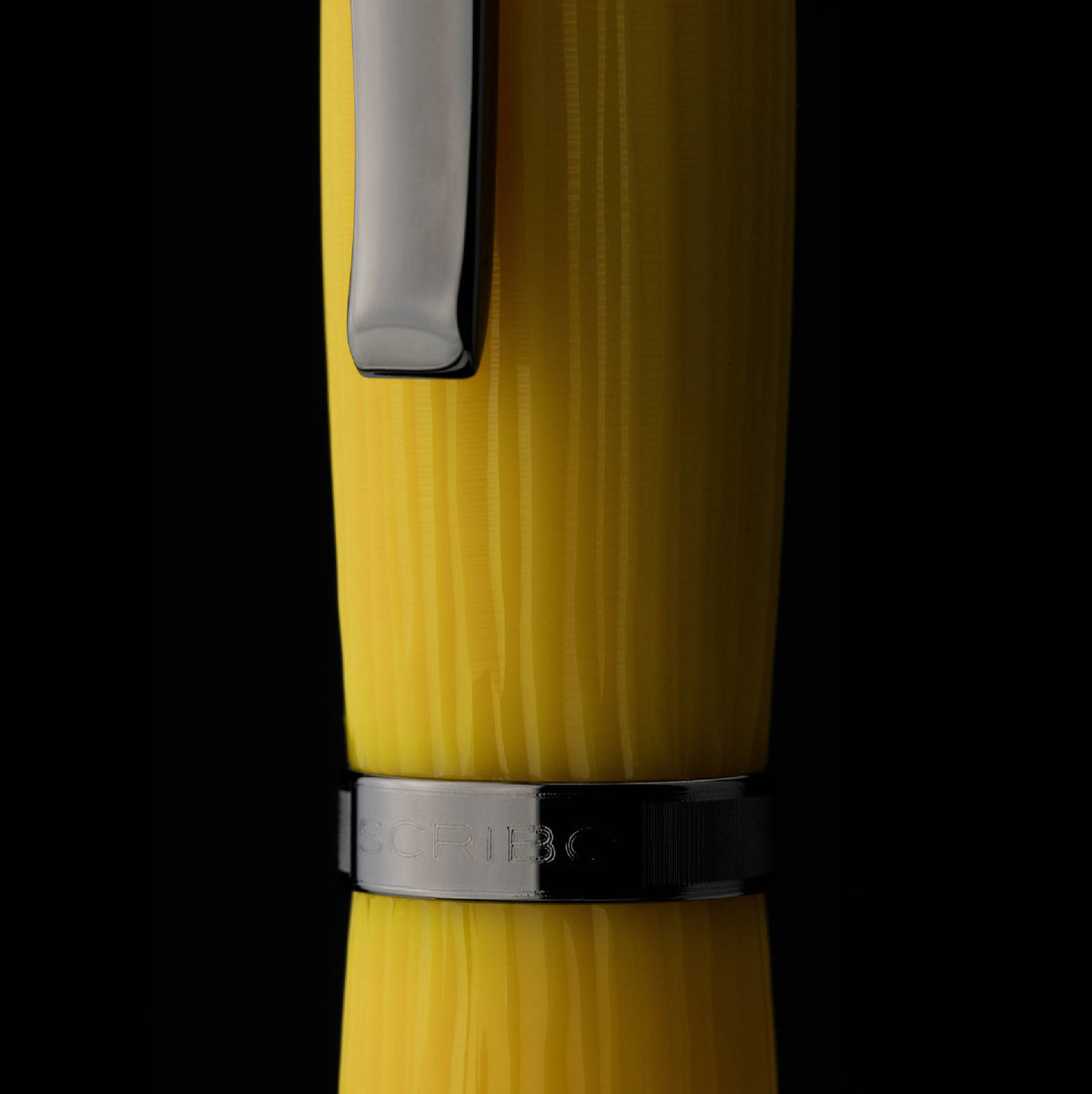La Dotta Studiorum Limited Edition Fountain Pen