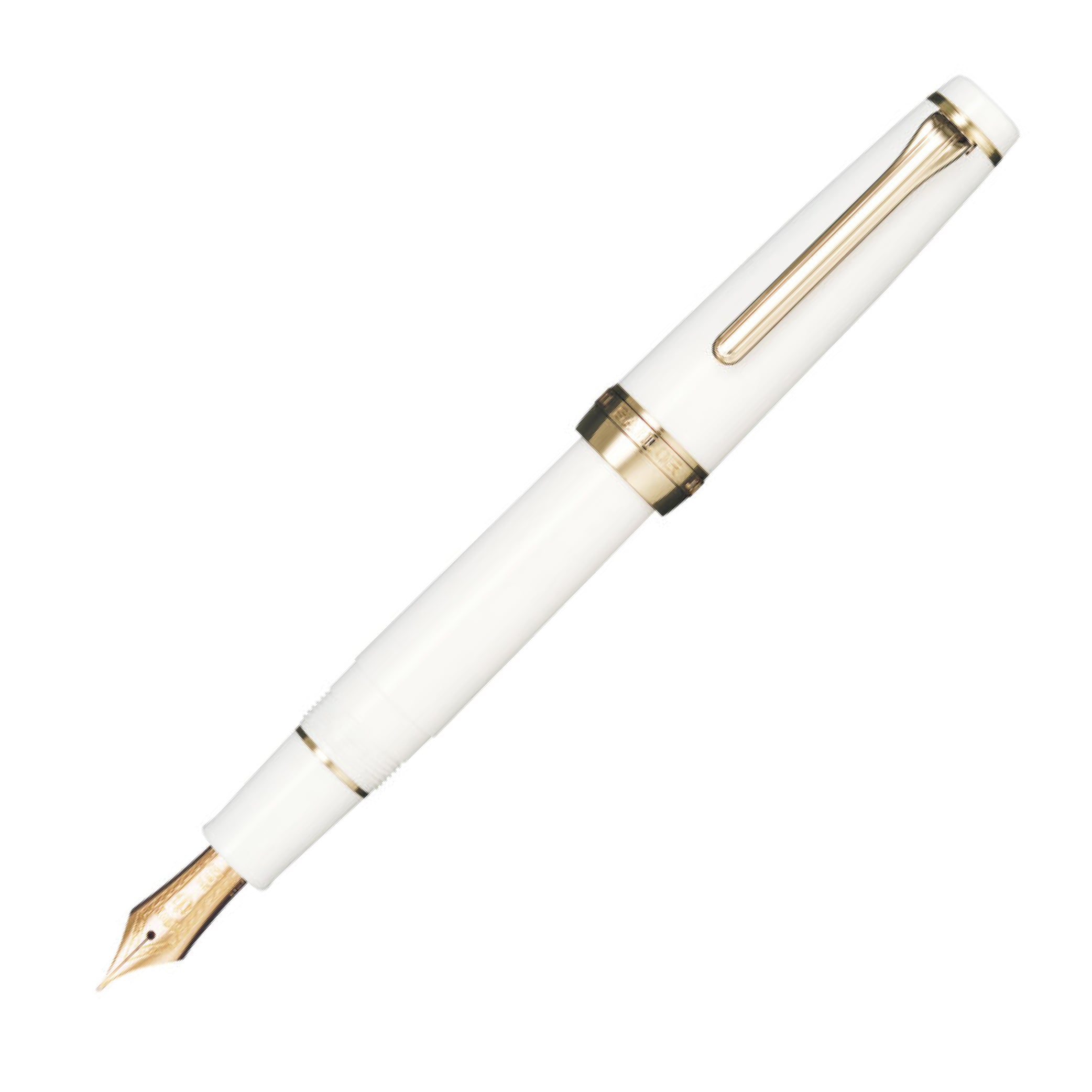 ProfessionalGear Pink Gold Fountain Pen