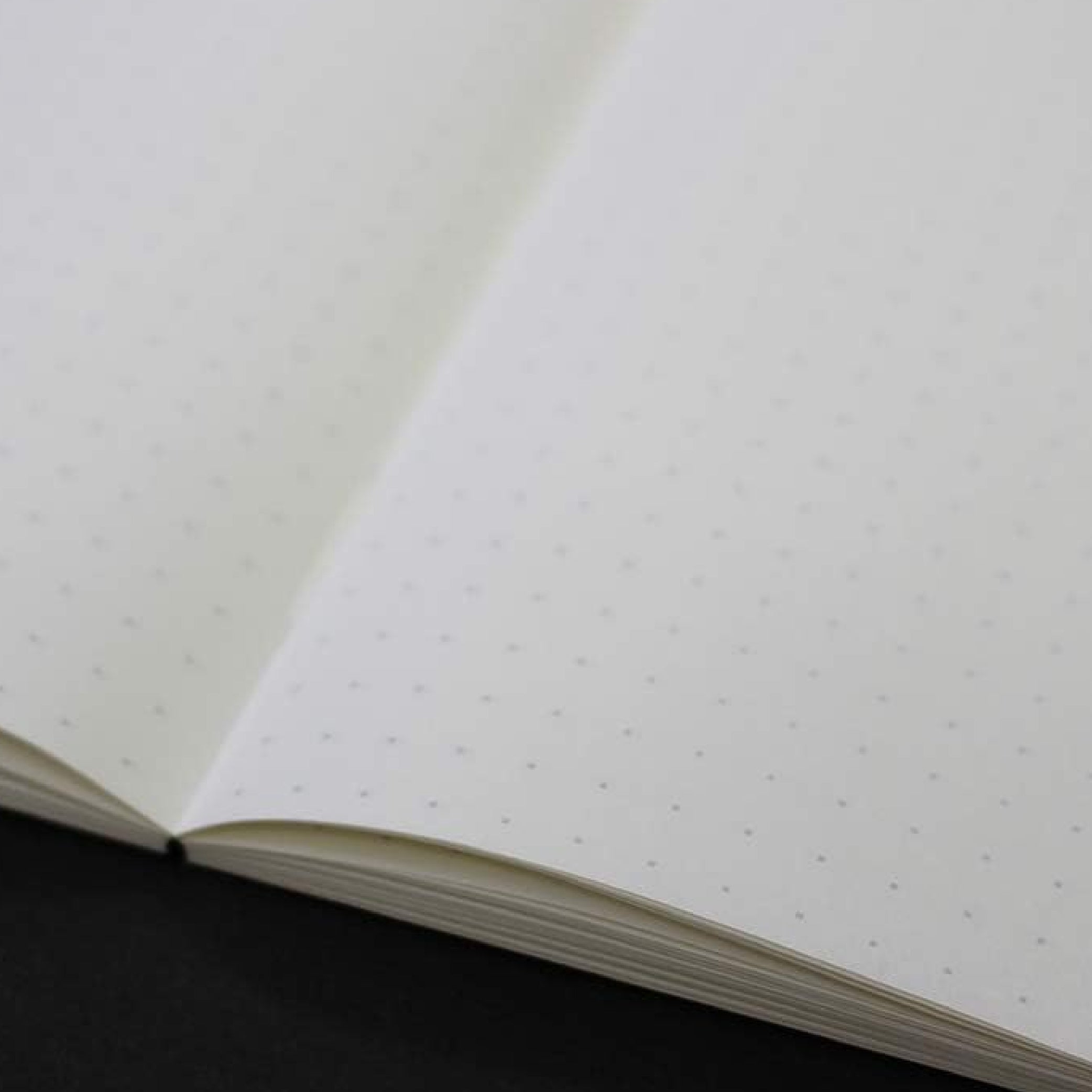 TOMOE RIVER_A5 Dot Grid White Notebook_Paper Detail