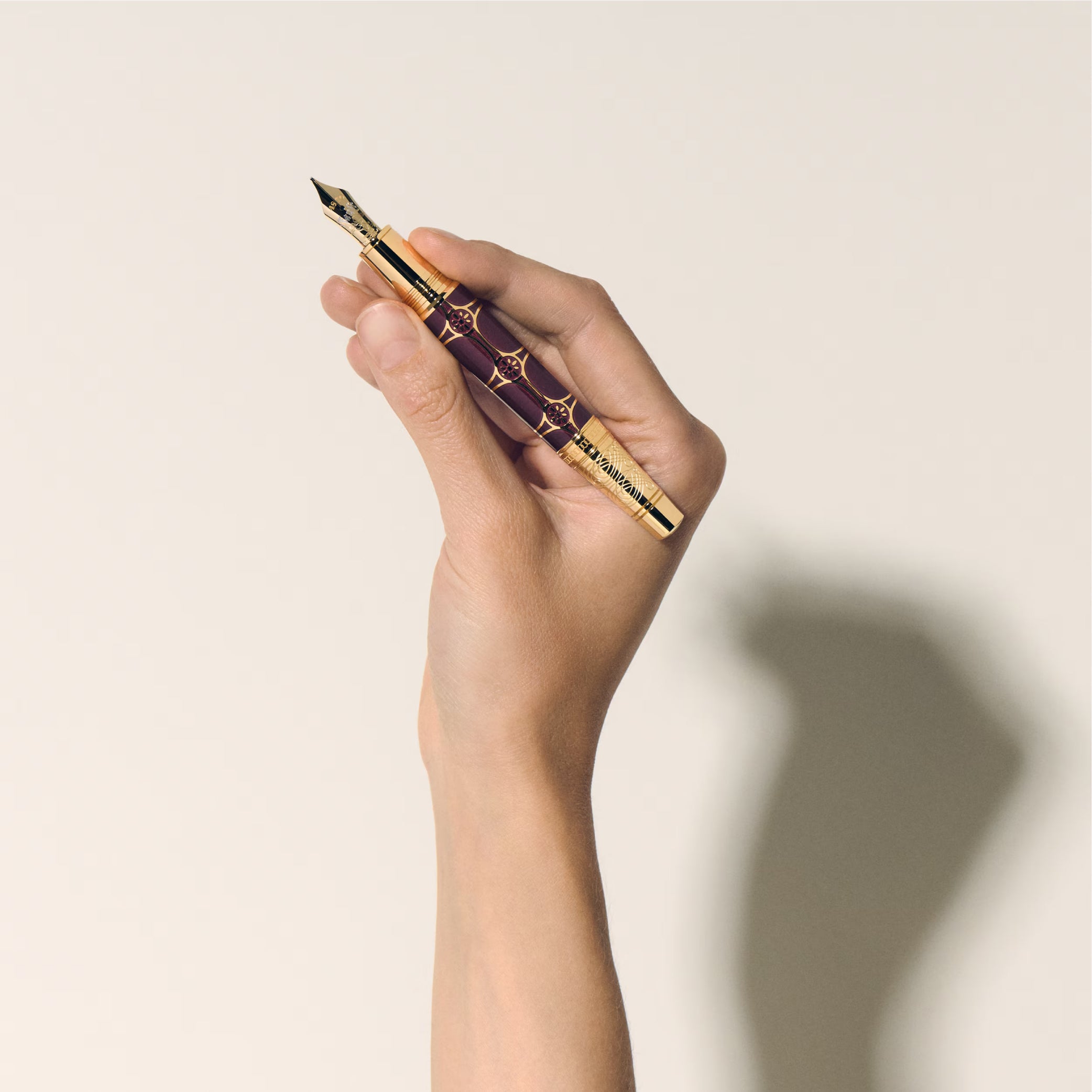Writers Edition Homage to Johann Wolfgang von Goethe Limited Edition 1808 Fountain Pen